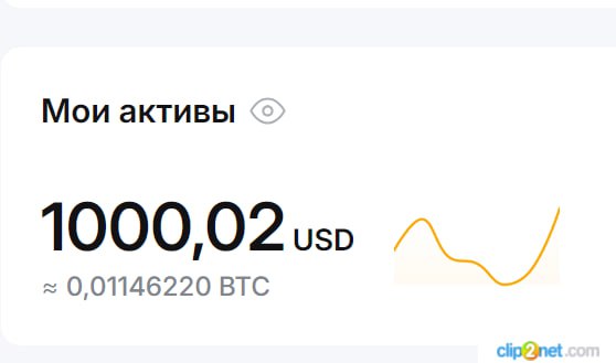 Скриншот активов ученика